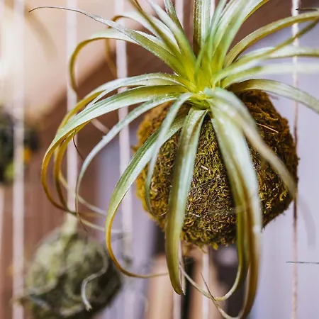 Elements Zell Am Aparthotel Zell am See